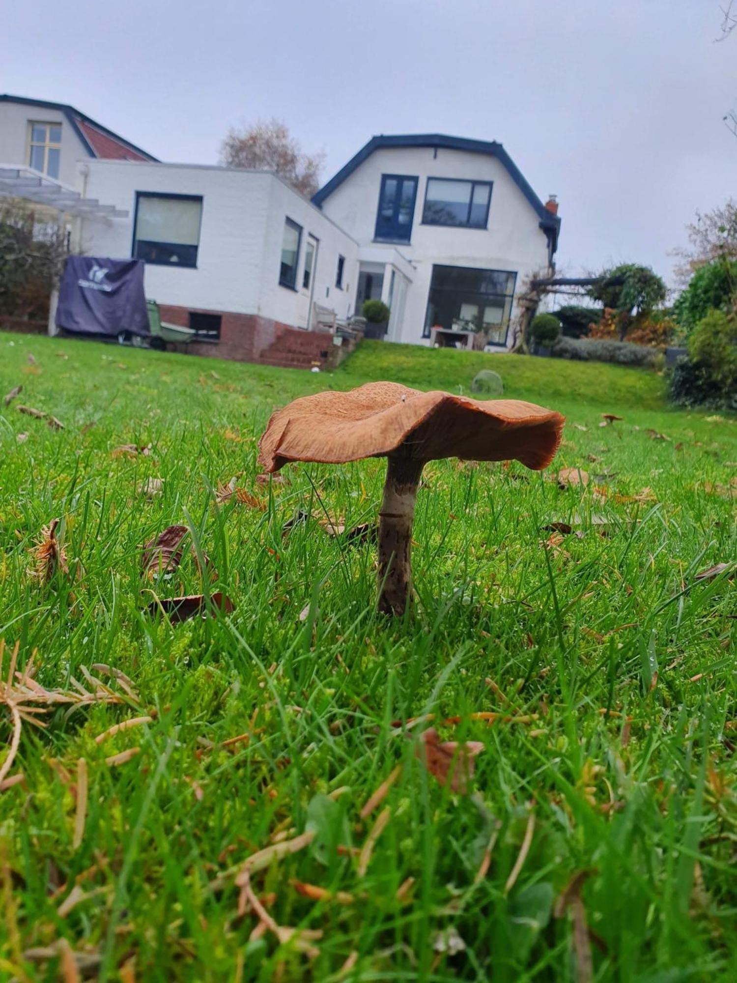 Zelfstandig Gastenverblijf In Het Groene Haren Nabij Groningen Exteriör bild