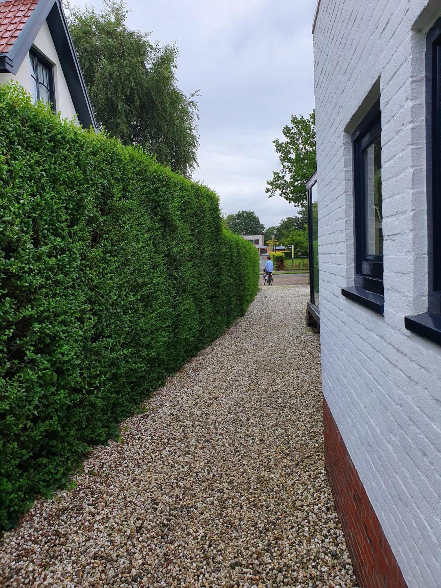 Zelfstandig Gastenverblijf In Het Groene Haren Nabij Groningen Exteriör bild